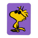 Recherche de lunettes magnets Cacahuètes