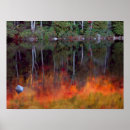 Recherche de desert island posters Maine