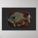 Search for sunfish posters Fishing