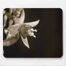 Search for fuschia mousepads Nature