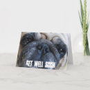 Search for dog get well cards Pug