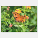 Search for fritillary Butterfly