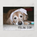 Recherche de get well cartes postales Triste