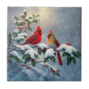 Recherche de oiseau rouge carreaux Noël