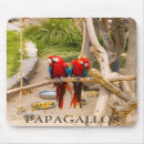 Search for macaw electronics Feathers