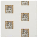Search for photo fabric Picture