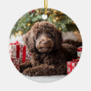 Search for labradoodle ornaments Pet