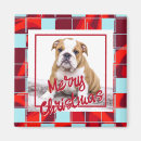 Search for pet photo magnets Merry christmas