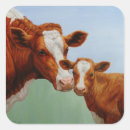 Search for guernsey stickers Cow