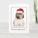 Search for cute shih tzu christmas cards Funny