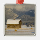 Search for ranch ornaments Winter