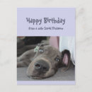 Search for 19 funny birthday cards Dog