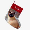 Search for siamese cat christmas stockings Kitten