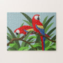 Recherche de aras puzzles Oiseaux tropicaux