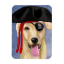 Search for pirate magnets Labrador