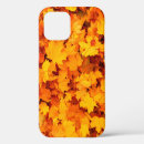 Search for fall foliage cases Autumn
