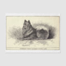 Search for decoupage queen Ephemera