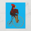 Recherche de drôles de coq cartes postales Poule