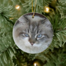 Search for cat silhouette ornaments Feline