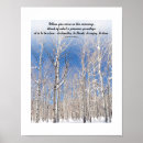 Search for sky tower posters Nature