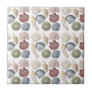 Recherche de coquillages carreaux Maison de plage