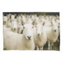 Search for farm pillowcases Lamb