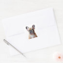 Search for french bulldog stickers Back to school