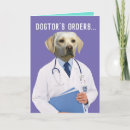Search for orders cards Dog