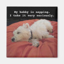 Search for dog napping magnets Cute