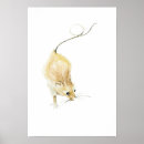 Recherche de animaux sauvages mignons posters Pour enfants