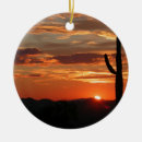 Search for arizona ornaments Sunset