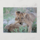 Search for bites postcards Horizontal
