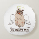 Search for funny pug pillows Pet