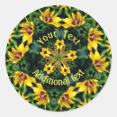 Search for black eyed susan Nature