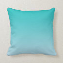 Search for for couch pillows Colour coordinated housewares