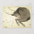 Recherche de zodiac birthday cards Taurus