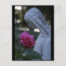 Recherche de vierge marie bénie cartes postales Foi