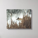 Search for conservation canvas prints Nature
