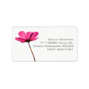 Search for nice return address labels Modern