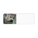 Search for sloth return address labels Wildlife