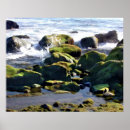 Search for coastal posters Pacific