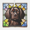 Search for boykin spaniel ornaments Pet