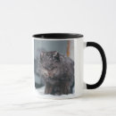 Recherche de sanglier Café