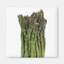 Search for asparagus magnets Food