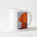 Search for indian headdress mugs Indians