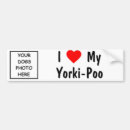 Search for yorkies bumper stickers Dog