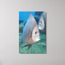 Search for two fish art Swimming