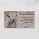 Recherche de rongeurs cartes visite Écureuil