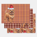 Search for aussies wrapping paper Dogs