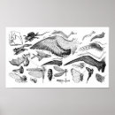 Search for dinosaur illustration posters Old